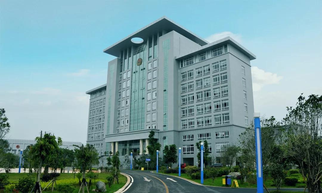 我们这一年省三监篇这一年我们认真解读文化